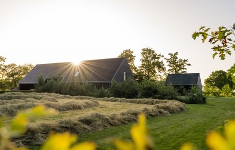 B&B Smalle Ee in het gouden avondlicht - Friesland