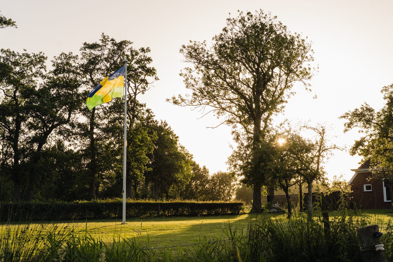 Het erf met oude boom en de Friese vlag